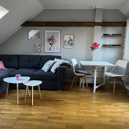 Charming Little In 公寓 莫斯